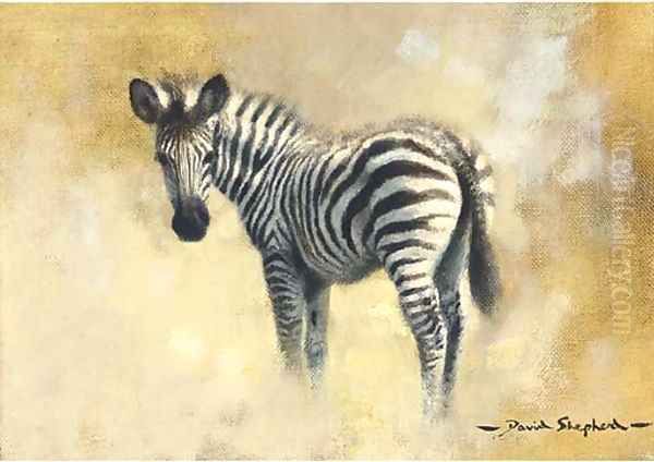 A baby zebra Oil Painting by Thomas Hosmer Shepherd