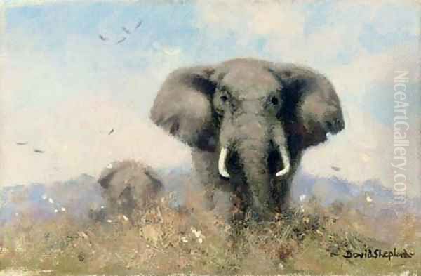 An elephant with birds Oil Painting by Thomas Hosmer Shepherd