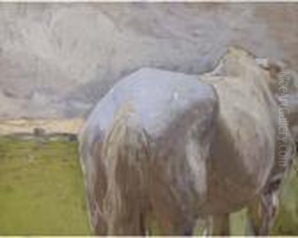 Study Of A Horse Oil Painting by Franz Roubaud