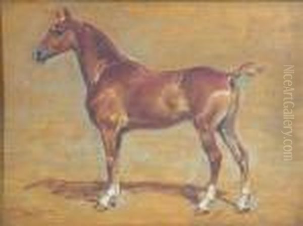 Equine Study Oil Painting by Henri Julien Rousseau