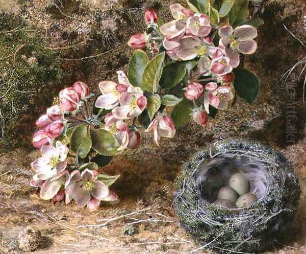 Blossom and Birds nest Oil Painting by John Sherrin