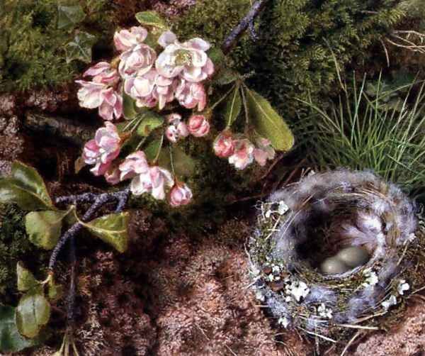 A Birds Nest and Apple Blossom Oil Painting by John Sherrin