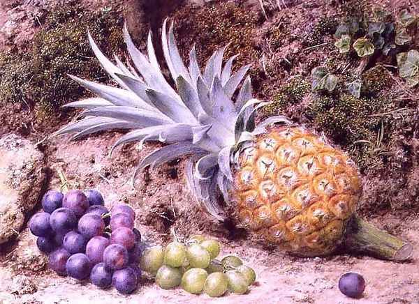 A Pineapple and Bunches of Grapes on a Mossy Bank, 1879 Oil Painting by John Sherrin