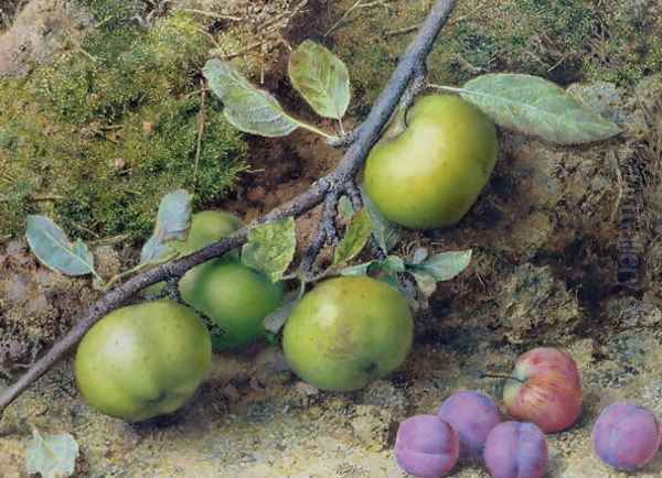 Apples and Plums on a Mossy Bank Oil Painting by John Sherrin