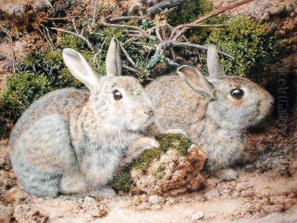 Two Rabbits Oil Painting by John Sherrin