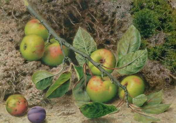 Apples on a Branch Oil Painting by John Sherrin