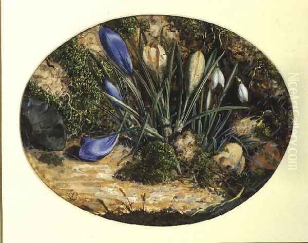 Crocuses and Snowdrops Oil Painting by John Sherrin