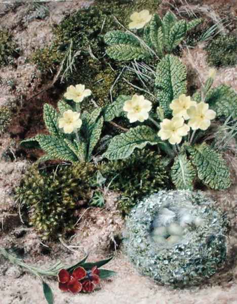 Primroses and Nest, 1877 Oil Painting by John Sherrin