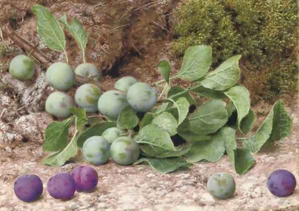 A bough of plums on a mossy bank Oil Painting by John Sherrin