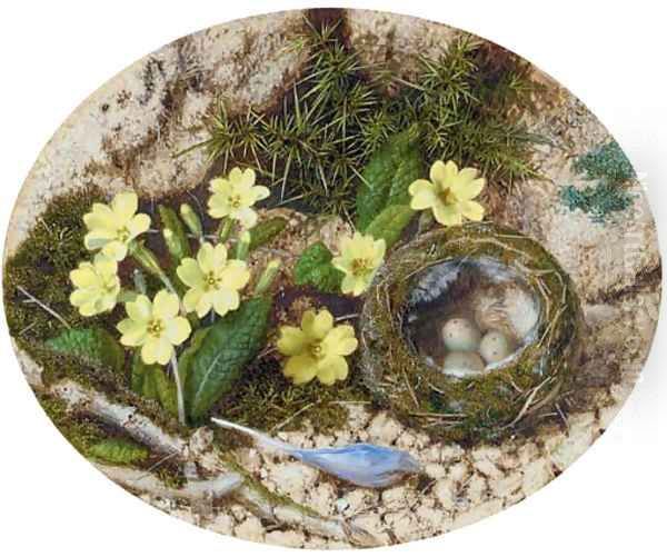 Primroses, a crocus and a bird's nest, on a mossy bank Oil Painting by John Sherrin