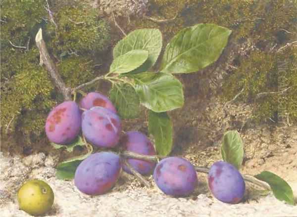 A bough of plums and an apple on a mossy bank Oil Painting by John Sherrin