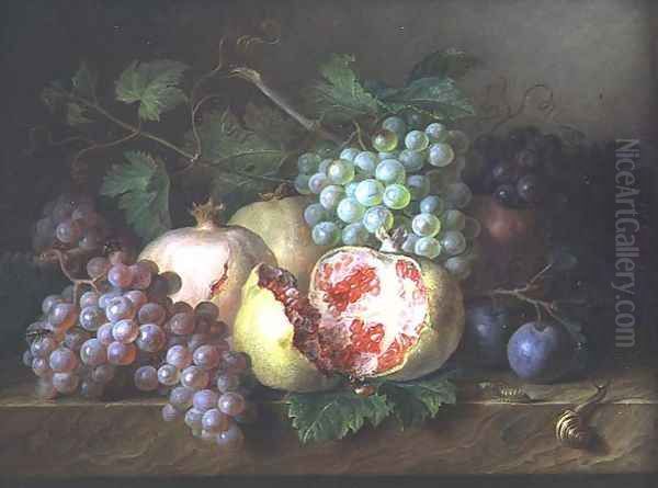 Still life of pomegranates, grapes and plums on a marble ledge Oil Painting by Cornelis van Spaendonck