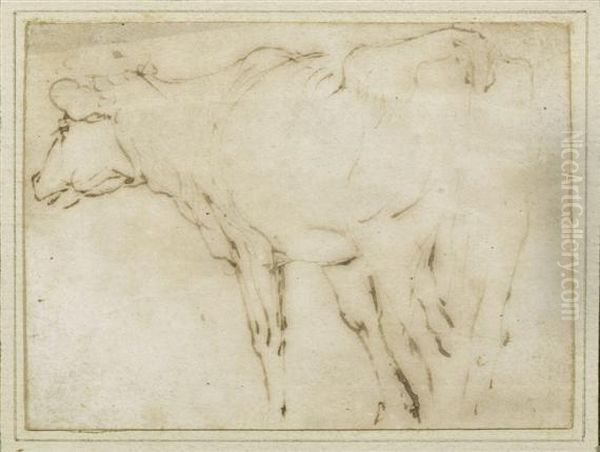 Study Of A Cow Oil Painting by Peter Paul Rubens