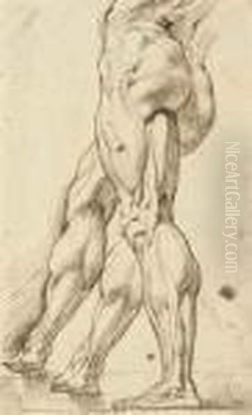 An Ecorche Study Of The Legs Of A Male Nude, With A Subsidiary Study Of The Right Leg Oil Painting by Peter Paul Rubens