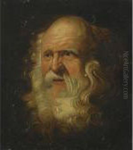 Study Of A Bearded Man Oil Painting by Peter Paul Rubens