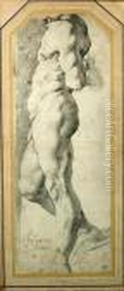 A Study Of A Standing Male Nude Oil Painting by Peter Paul Rubens