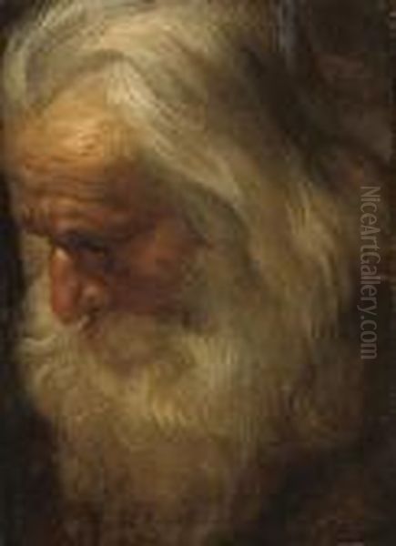 Head Study Of A Bearded Man Oil Painting by Peter Paul Rubens