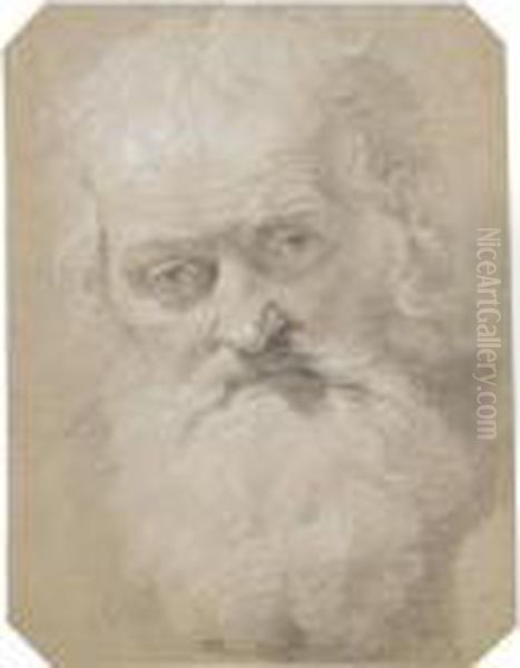 Study Of The Head Of An Old Bearded Man Oil Painting by Peter Paul Rubens