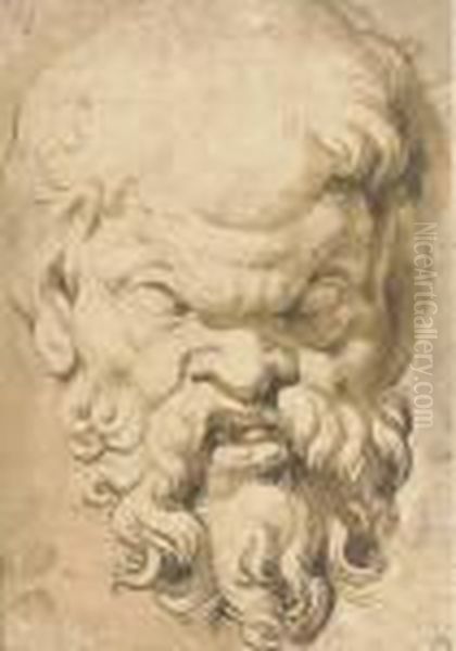 Head Of A Satyr Oil Painting by Peter Paul Rubens