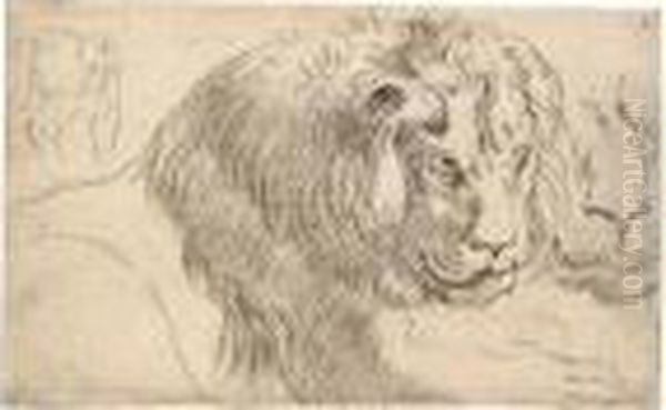 Study Of A Lion In Repose, With A
 Further Study Of Its Face, And Another Study Of The Side Of A Standing 
Lion Or Lioness Oil Painting by Peter Paul Rubens