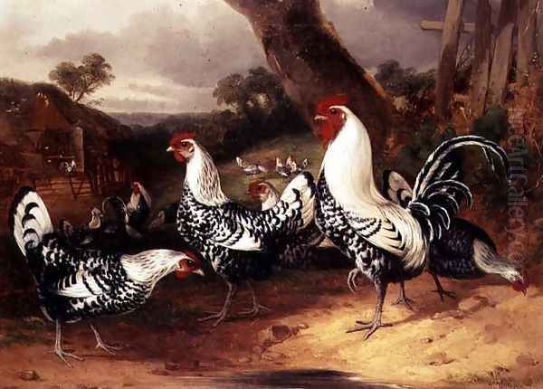 Cockerels in a Landscape Oil Painting by William Joseph Shayer