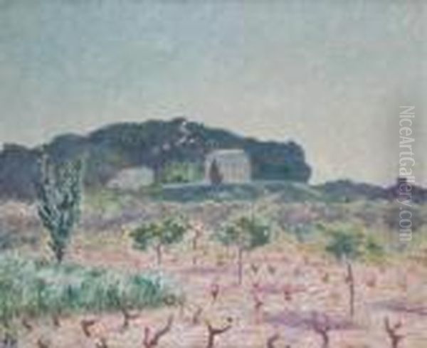 Vineyard, South Of France Oil Painting by Bonny Rupert