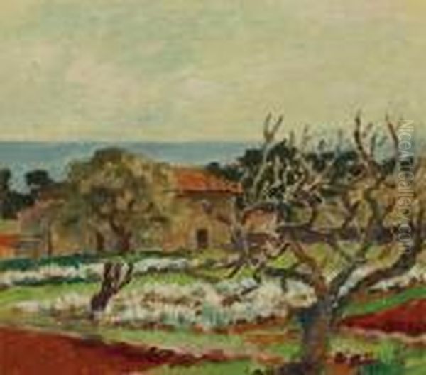 Sketch For Flower Farm, Bandol, South Of France Oil Painting by Bonny Rupert