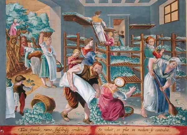 Women Lining Shelves with Mulberry Leaves for the Silkworms, plate 5 from Vermis Sericus The Silkworm engraved by Philip Galle 1537-1612 Oil Painting by Giovanni Stradano