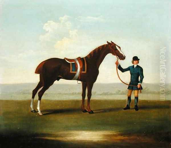 A Chestnut Horse Oil Painting by James Seymour