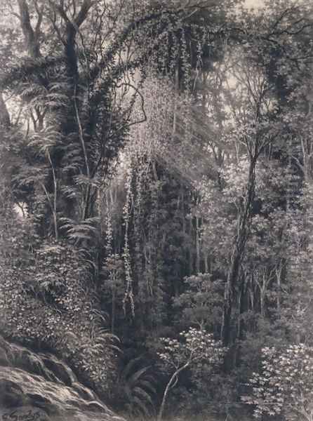 View of the Gorge above Apia, Upolu, Western Samoa, 1877 Oil Painting by Emma Sandys