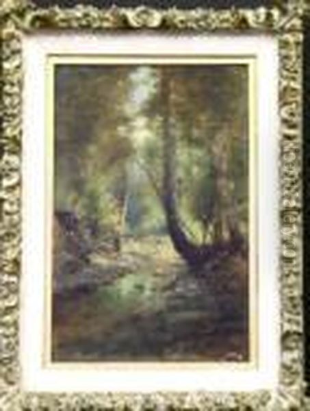 Forest Interior Oil Painting by Paolo Sala