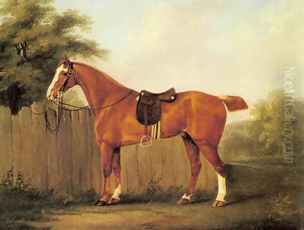 A Chestnut Hunter Tethered to a Fence Oil Painting by John Nost Sartorius