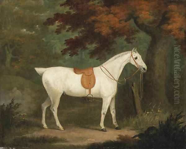 A saddled grey Hunter in a wooded Landscape Oil Painting by John Nost Sartorius