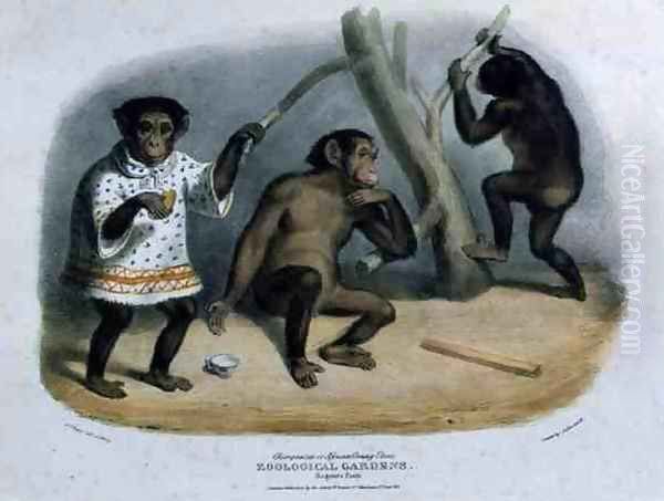 Chimpanzee or African Orang-Utan at the Zoological Gardens, Regents Park, engraved and pub. by the artist, printed by Charles Hullmandel 1789-1850, 1835 Oil Painting by George the Elder Scharf