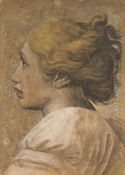 Head Of A Youth In Profile To The Left: Cartoon For A Tapestry Oil Painting by Raphael (Raffaello Sanzio of Urbino)