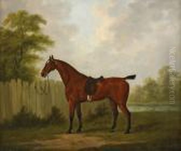 Landskap Med Sadlad Hunterhast Oil Painting by John Nost Sartorius