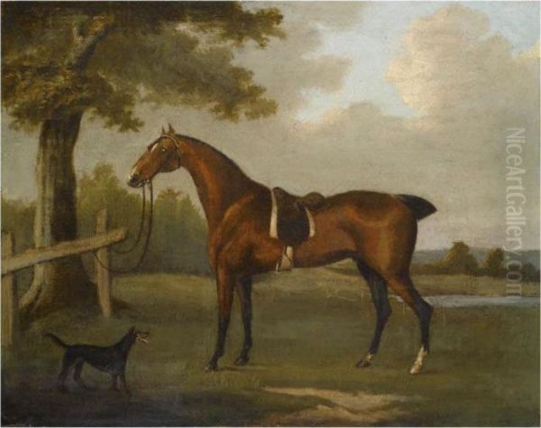 A Bay Hunter With A Manchester Terrier Oil Painting by John Nost Sartorius