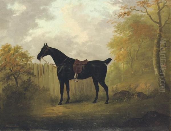 A Saddled Bay Hunter By A Fence, In A Wooded Landscape Oil Painting by John Nost Sartorius