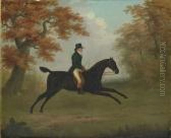 A Gentleman Out Riding On A Dark Bay Horse Oil Painting by John Nost Sartorius