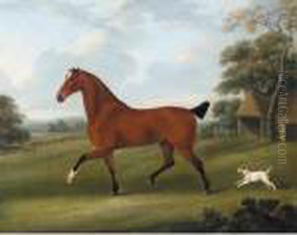 A Bay Hunter Trotting In A Landscape With A Dog Oil Painting by John Nost Sartorius