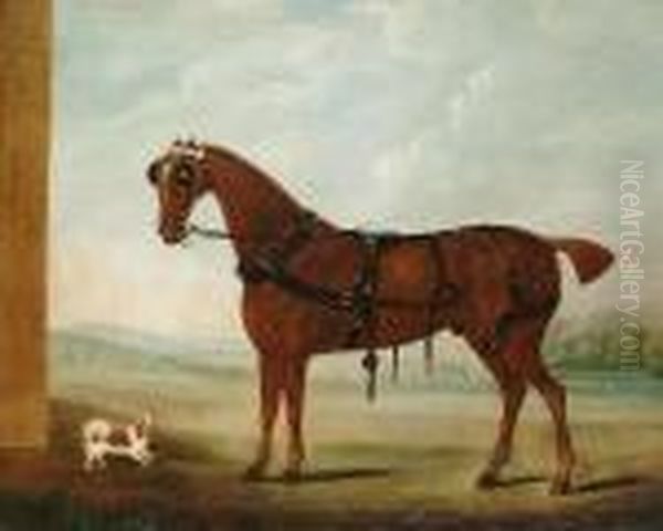 Portrait Of A Carriage Horse With A Spaniel Oil Painting by John Nost Sartorius