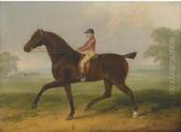 A Racehorse With Jockey Up Oil Painting by John Nost Sartorius