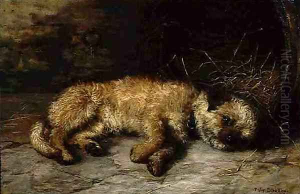 A Dandie Dinmont, 1884 Oil Painting by Philip Eustace Stretton