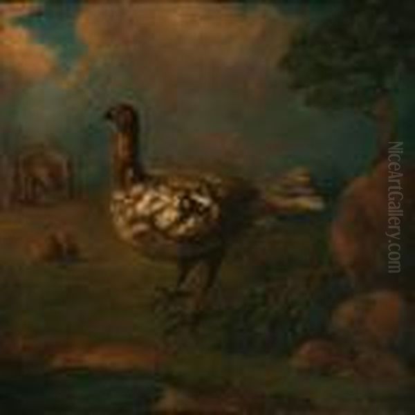 A Dodo Oil Painting by Roelandt Jacobsz Savery