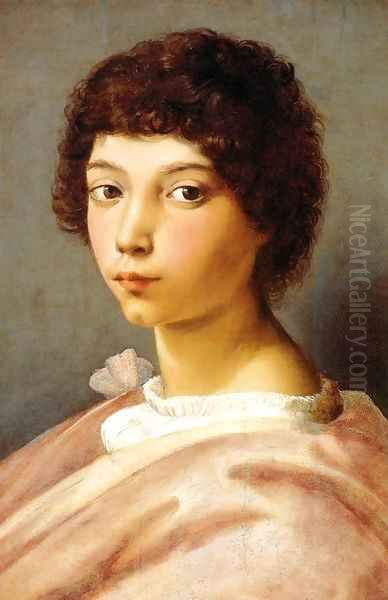 Portrait of a Young Man Oil Painting by Raffaelo Sanzio