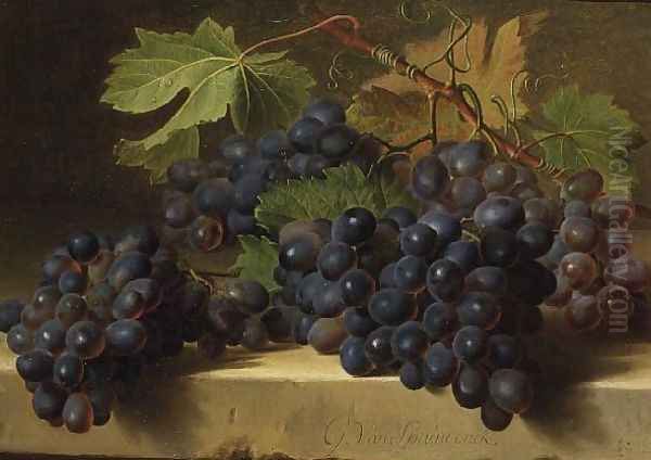 A Still Life of Grapes Resting on a Marble Ledge Oil Painting by Gerard Van Spaendonck