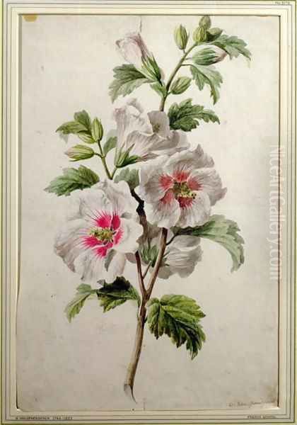 Hollyhocks Oil Painting by Gerard Van Spaendonck