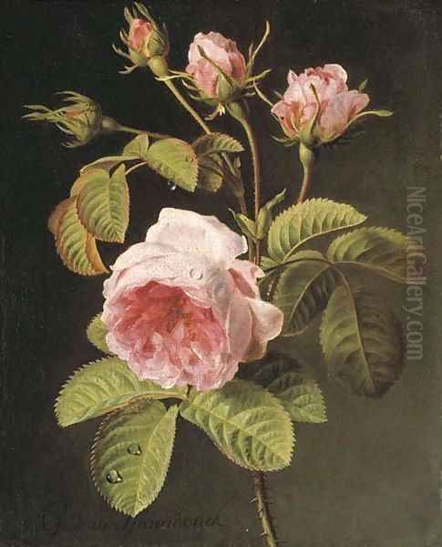 A sprig of pink cabbage roses Oil Painting by Gerard Van Spaendonck