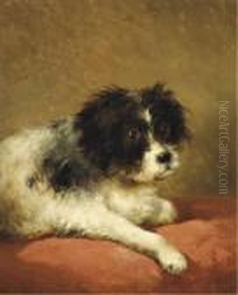 Best Friend: Portrait Of A Dog Oil Painting by Andreas Schelfhout