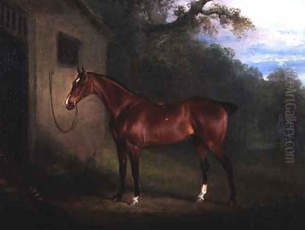 Portrait of a Bay Hunter Tethered to a Stable Oil Painting by Charles Henry Schwanfelder